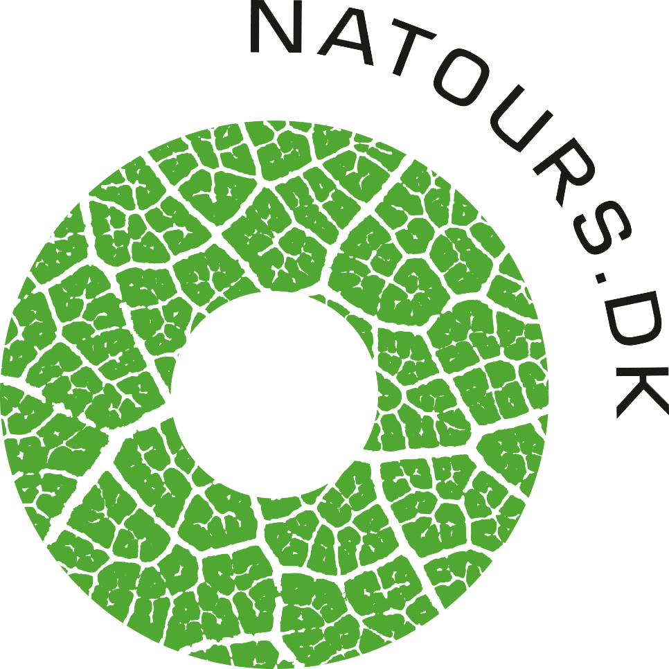 Natours-logo-trans